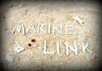 MARENE LINK FOR DIVERS
